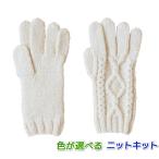 * плетеный игла комплект шерсть sono моно альпака шерсть средний futoshi . сборник .5 пальцев перчатки вязание комплект 