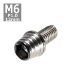  колпак болт M6×12mm P1.0 конус ракушка нержавеющая сталь серебряный 1 шт TB0248