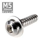 M5×20mm タッピングネジ タッピングビス タッピングボルト シルバー ステンレス 1本 TC0034