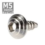 M5×16mm タッピングネジ タッピングビス タッピングボルト シルバー ステンレス 1本 TC0078