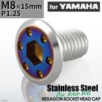 ブレーキディスク ローターボルト M8×15mm P1.25 ヤマハ用 シンホールヘッド シルバーカラー＆ブルー 1個 TD0337