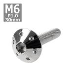  кнопка болт M6×30mm P1.0 отверстие head нержавеющая сталь серебряный 1 шт TR0055