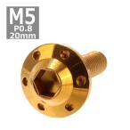 ボタンボルト M5×20mm P0.8 ホールヘッド H-1 ステンレス ゴールド 1個 TR0188
