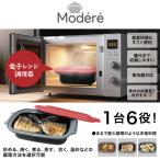 電子レンジ 調理器 焼き魚 お弁当 食洗機対応 コンパクト 蓋付き HDL-5444