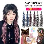エクステ ワンタッチ 子供 三つ編み 編み込み キッズ ダンス エクステ ゴムタイプ 2本セット ウェーブ エクステ グラデーション ヘアーエクステンション ポニー