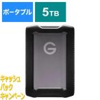 10000円キャッシュバック SANDISKPROFESSI