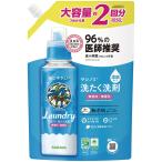 大容量 ヤシノミ 洗たく洗剤 濃縮タイプ 詰替用 1050ml