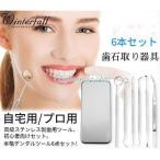 歯石取り器具 6本セット ステンレス製 自宅用 デンタルツール 歯 ヤニ 歯垢 しこう取りスケーラー プロ用