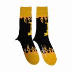 Pantera ソックス 靴下 パンテラ Flame