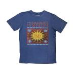 Smashing Pumpkins バンドTシャツ スマッシング・パンプキンズ Sun Box STONE WASH L