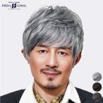 bare нет мужской парик парик Short мужской мужской белый . незначительный шерсть удаление волос . голова . часть больше шерсть парик природа черный серебряный [re year Short ]