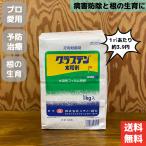 芝生用殺菌剤 グラステン水和剤 1kg ゴルフ場も使用 総合防除剤 芝病害 病気 葉腐病 ラージパッチ ブラウンパッチ 春はげ病 さび病