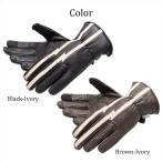  Degner DEGNER WG-51 winter кожа перчатка 2 цвет 