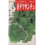 在来種/固定種/野菜のタネ「青チマサンチュ1ml(約500粒）」畑懐〔はふう〕の種【メール便可】