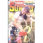 テレホンカード アイドル テレカ 後藤理沙 ヤングサンデー K0015-0013