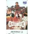図書カード kinki kids 愛犬ロシナンテの災難 堂本剛・図書カード K5005-0045