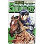 テレカ テレホンカード ダービージョッキー 週刊ヤングサンデー SS002-0158