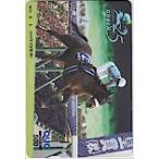 GREEN CHANNEL миндаль I QUO card 500 UCA01-0208