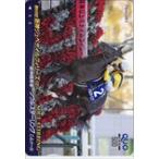  телефонная карточка душа sterling Hanshin jubena il Filly z QUO card 500 UP019-0002