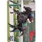  еженедельный Gallopu in mighty - QUO card 500 UZG12-0311