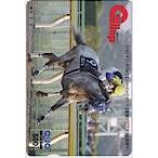  еженедельный Gallop черный fne QUO card 500 UZG12-0352