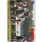  еженедельный Gallopbiwa - yahite QUO card 500 UZG12-0488