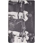  телефонная карточка телефонная карточка Oono . Pro ввод первый . выгода праздник удача вода . реальный самец дерево внизу . самец вода болото 4 .YC199-9108