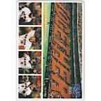  QUO card ja Ian tsuTOGETHER QUO card 500 YG994-0043