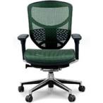 エルゴヒューマン エンジョイ ロータイプ エラストメリック・メッシュ グリーン EJ-LAM KM-14