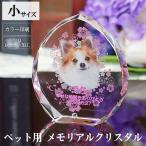 ショッピング写真 ペット位牌 写真入り クリスタル しずく型 小サイズ 誕生月ラインストーン付き ガラス 名入れ メッセージ 写真立て フォトフレーム ペット 犬 猫 仏壇 KP-28C