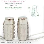 .. подвеска with titanium Mini двусторонний печать non аллергия безопасность легкий титановый .. аксессуары совершенно водонепроницаемый бренд .. колье домашнее животное предметы для домашнего буддийского алтаря . шерсть амулет 