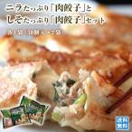 ニラたっぷり肉餃子30個入 しそたっぷり肉餃子30個入 セット 茨城県産銘柄豚 ローズポーク 茨城県産 ニラ 中華 惣菜