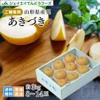 梨 和梨 あきづき 約3kg 秀品 山形県産 なし 爆買 送料無料※一部地域は別途送料追加 9月下旬より順次出荷 wn07