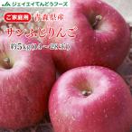 訳あり 青森県産 サンふじ りんご 約5kg (14〜28玉)