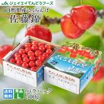 予約商品 さくらんぼ 佐藤錦 ギフト L玉 秀品 500g 山形県産 バラパック JA 産地直送 rc07