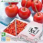 順次出荷 ご自宅用 さくらんぼ 山形県産 佐藤錦 約1kg M玉以上 バラ詰め rc01