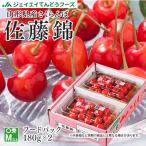 ショッピングさくらんぼ さくらんぼ 佐藤錦 ギフト L玉 秀品 200g×2 山形県産 フードパック rc14