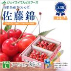 父の日 ギフト さくらんぼ 2025 佐藤錦 L玉 秀品 180g×2 山形県産 フードパック rc12