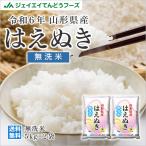 ショッピング和 無洗米 米 お米 令和5年産 山形県産 はえぬき 10kg 無洗米（5kg×2袋）rhm1005