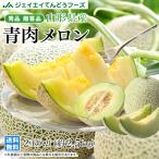 メロン お中元 ギフト 山形県庄内産 砂丘メロン 青肉 約2.5kg （2玉）贈答品　御中元