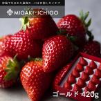 10 коробка ограничение подарок подарок клубника migaki клубника Miyagi префектура производство Gold ( примерно 420g) шарик число случайный бесплатная доставка 1 месяц сверху ... последовательный отгрузка 
