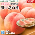 爆買 予約商品 桃 川中島白桃 約5kg (12〜20玉) 秀品 山形県産 もも 贈答 pc04