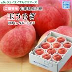 もも 白桃 桃 玉うさぎ ギフト 約3kg (8〜12玉) 山形県産 桃 贈答 pc07