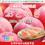白桃 桃 もも おどろき ギフト 硬い 白桃 約3kg (5〜14玉) 山形県産 桃 贈答 pc08