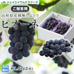  виноград подарок крупный вид нет [pio-ne] примерно 1.4kg (2.) Yamagata префектура производство превосходящий товар ....gr06 9 месяц средний .~ последняя декада отправка . покупка 