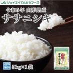 お米 5kg 新米 ササニシキ 山形県産 令和5年産 精米 お米 rys0505