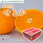 ショッピングせとか 愛媛県産 せとか 約5kg 玉数おまかせ 柑橘 果物 フルーツ ギフト ※一部地域は別途送料追加 stk05