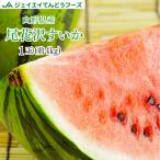 訳あり 尾花沢すいか スイカ 山形県産 約4kg (1玉) wm11