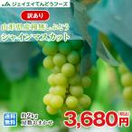  виноград есть перевод кожа ..[ автомобиль in мускат ] примерно 2kg Yamagata префектура производство . дом для ..9 месяц последняя декада ~10 месяц сверху . отправка h07