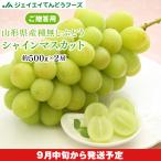 ぶどう ギフト 皮ごと 『シャインマスカット』 約1kg (2房) 山形県産 秀品 葡萄 贈答 h08